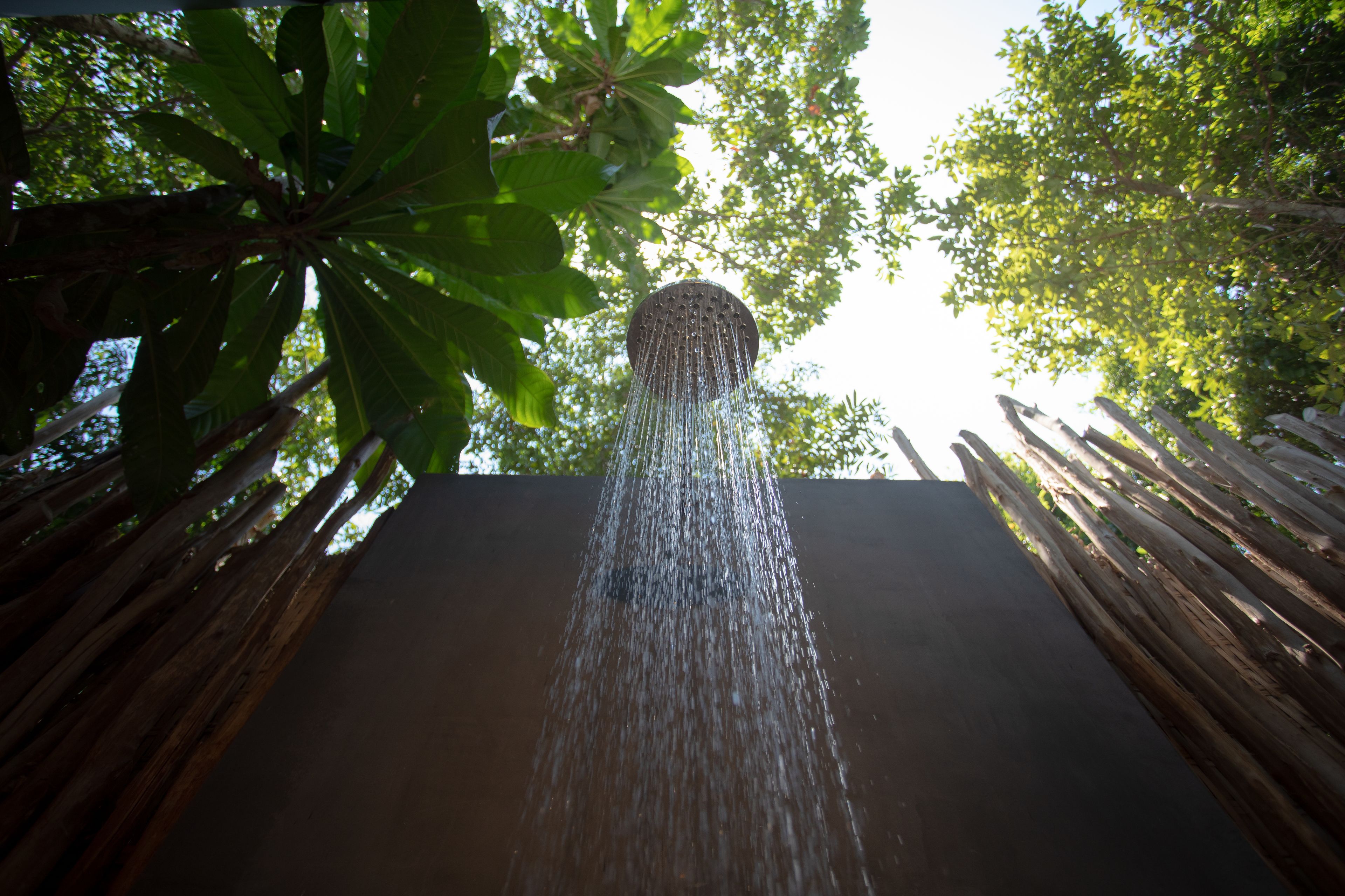 jungle room | bathroom | shower, free toiletries, hair dryer, bathrobes