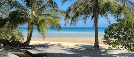 A beach with palm trees, lounge chairs, and a clear view of the ocean.