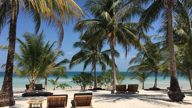 A beach with palm trees, wooden chairs, and a bench. - Tamu Koh Rong (Koh Rong)