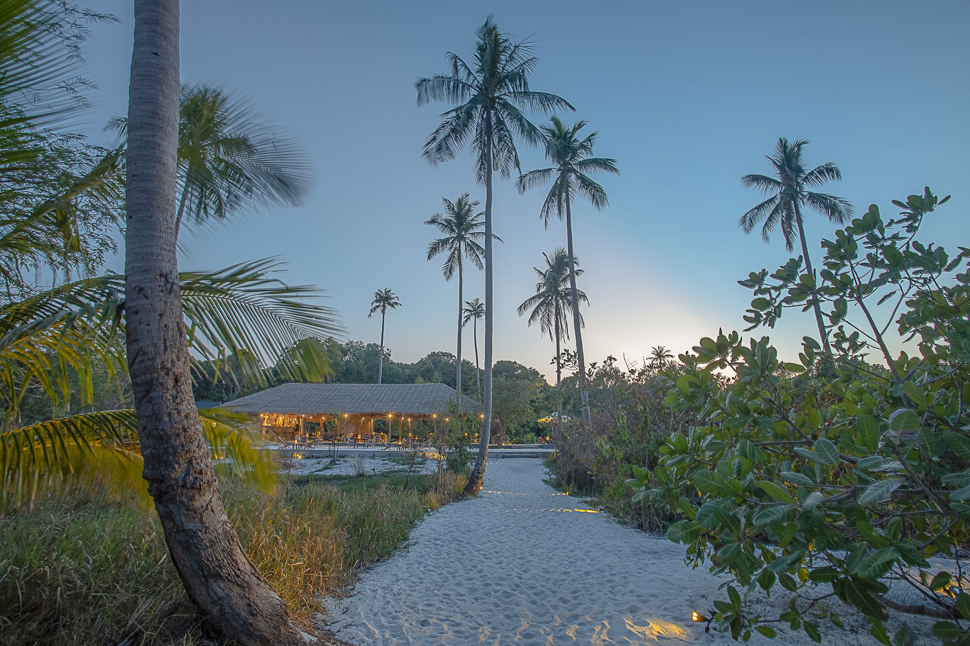 A pathway leading to a building with a thatched roof, surrounded by palm trees and greenery.