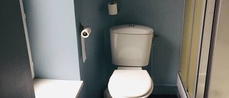 Un baño con inodoro, un rollo de papel higiénico y zona de ducha.