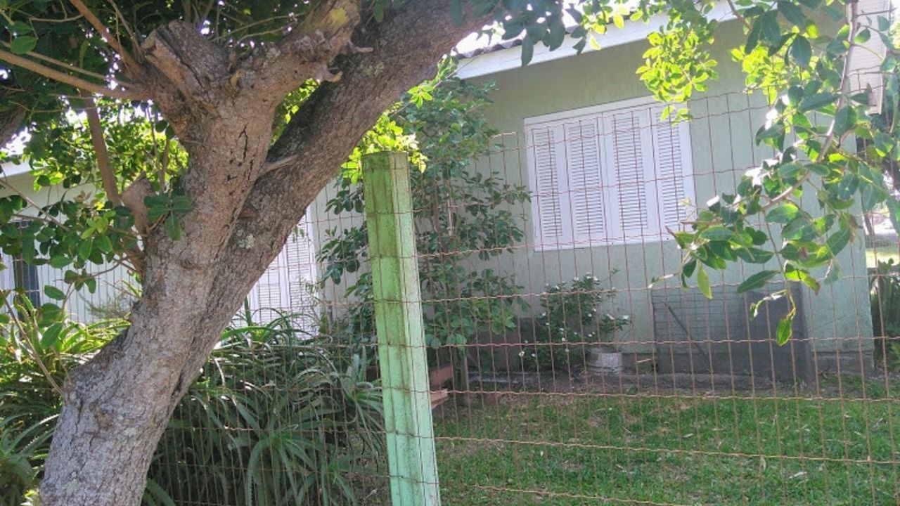 Um quintal cercado com uma árvore e um prédio ao fundo.