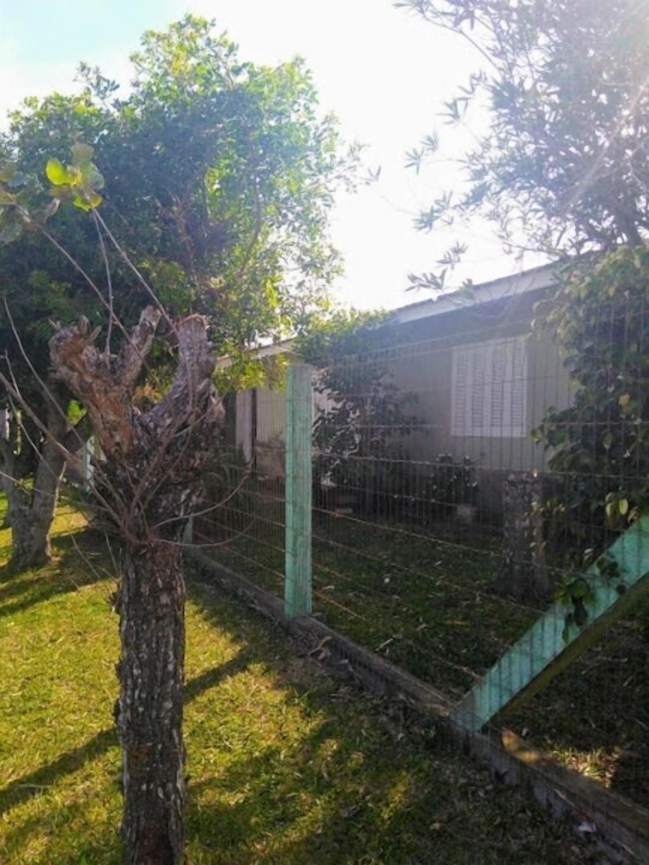 A fenced outdoor area with a tree and a building in the background.