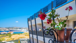 Un balcón con una planta en maceta y vistas a la costa.