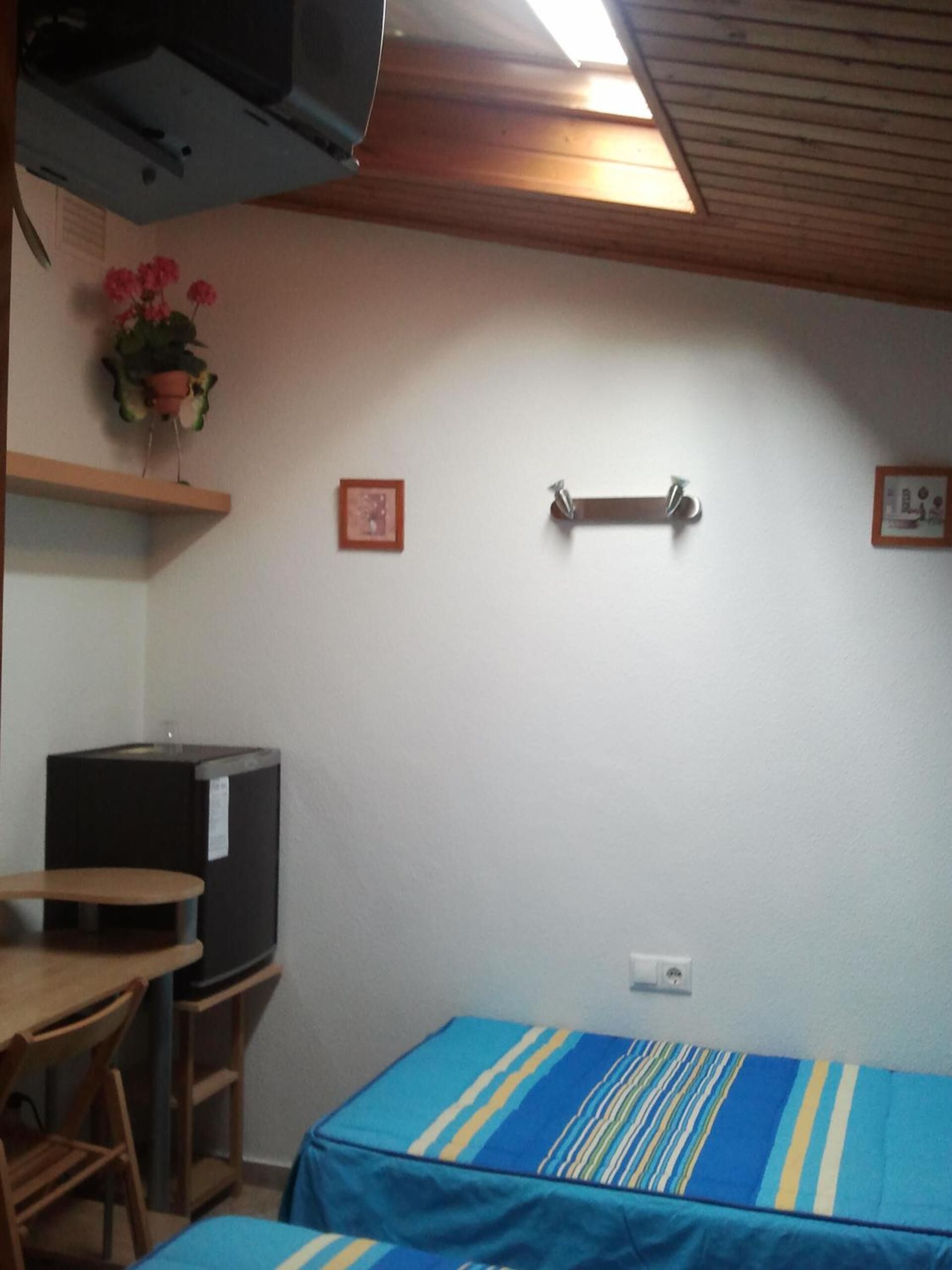 Foto - Hostal Arneva Orihuela