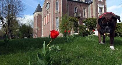 Les Tourelles de Thun