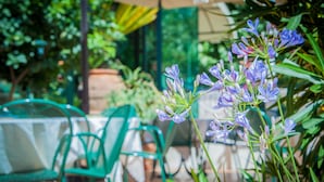 Un patio con sillas verdes y una mesa, rodeado de plantas en macetas y plantas con flores.