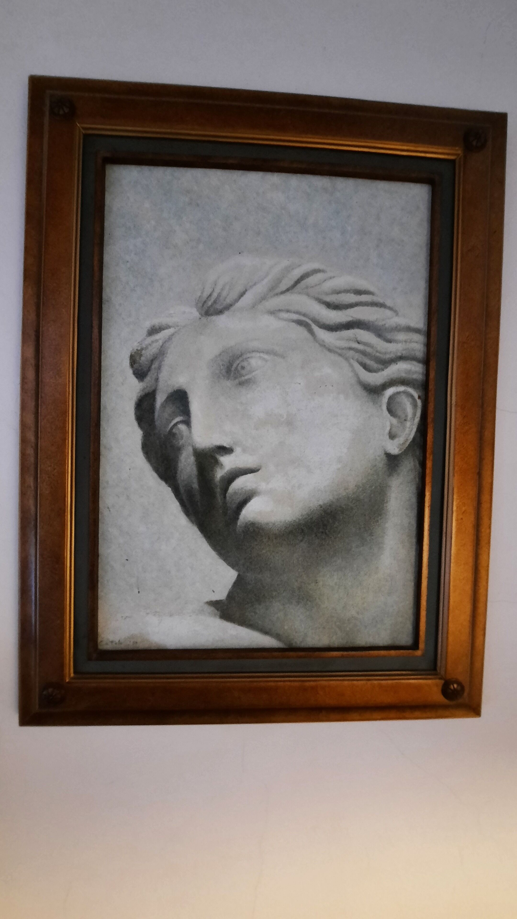 Una escultura enmarcada de la cabeza de una mujer con trenzas.
