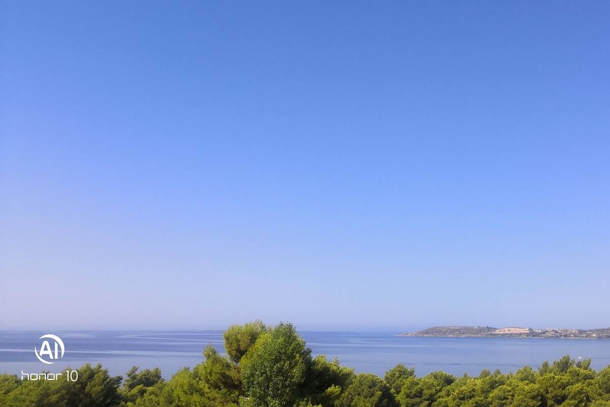 Eine Küstenlandschaft mit blauem Himmel, Bäumen im Vordergrund und einer fernen Küste mit Gebäuden.