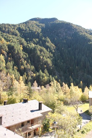 A mountain with dense forest, a stone building with a balcony, and a clear sky. - Apartaments Vilaró (Llorts)