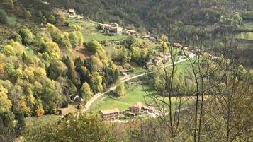A rural village with houses built on terraced hillsides, surrounded by dense forests.