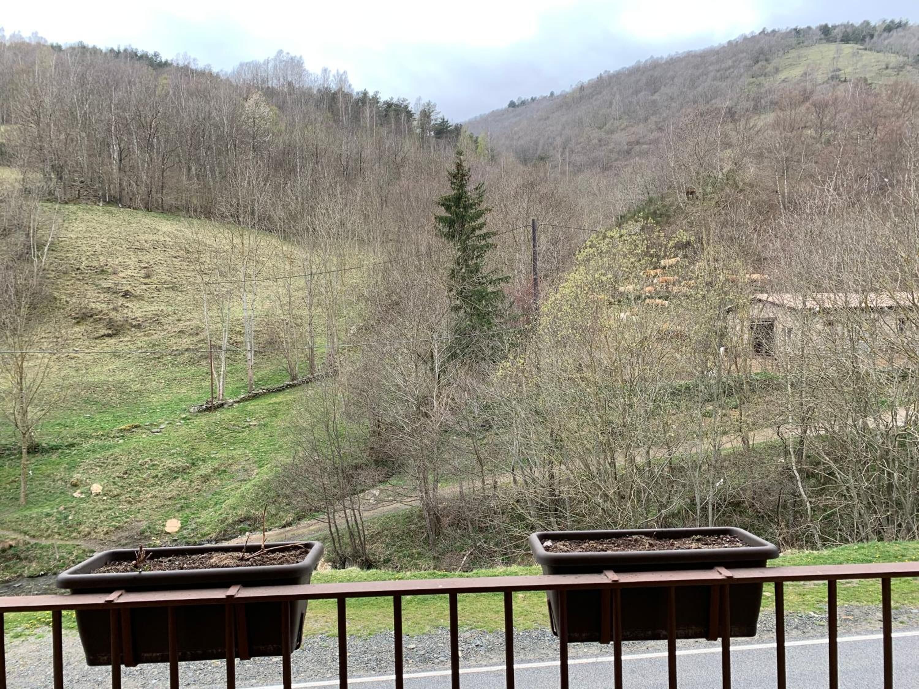 A scenic view from a balcony with two potted plants.