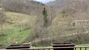 A scenic view from a balcony with two potted plants.