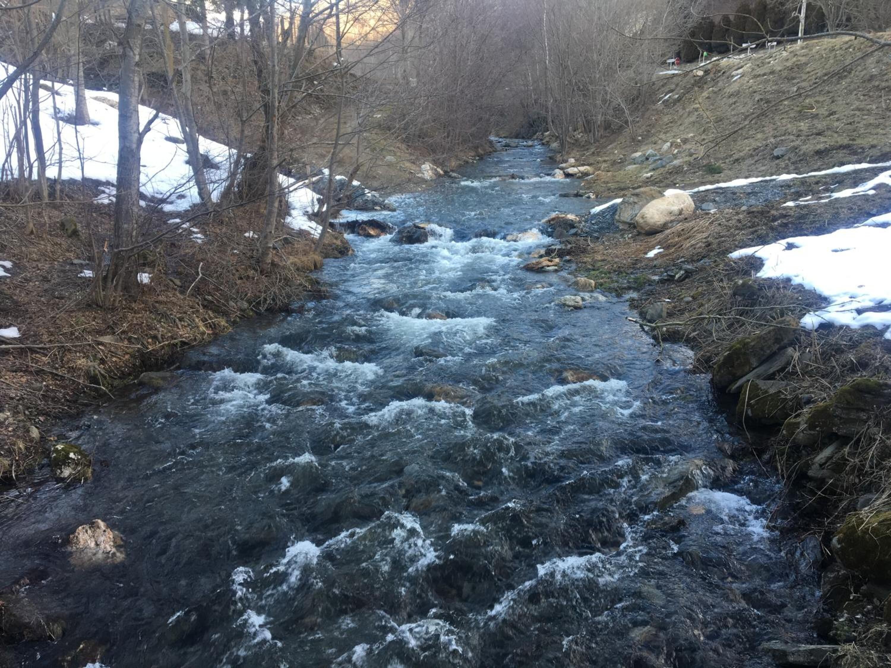 Une rivière à courant rapide, parsemée de rochers et de plaques de neige, entourée d’arbres et bordée d’une colline.
