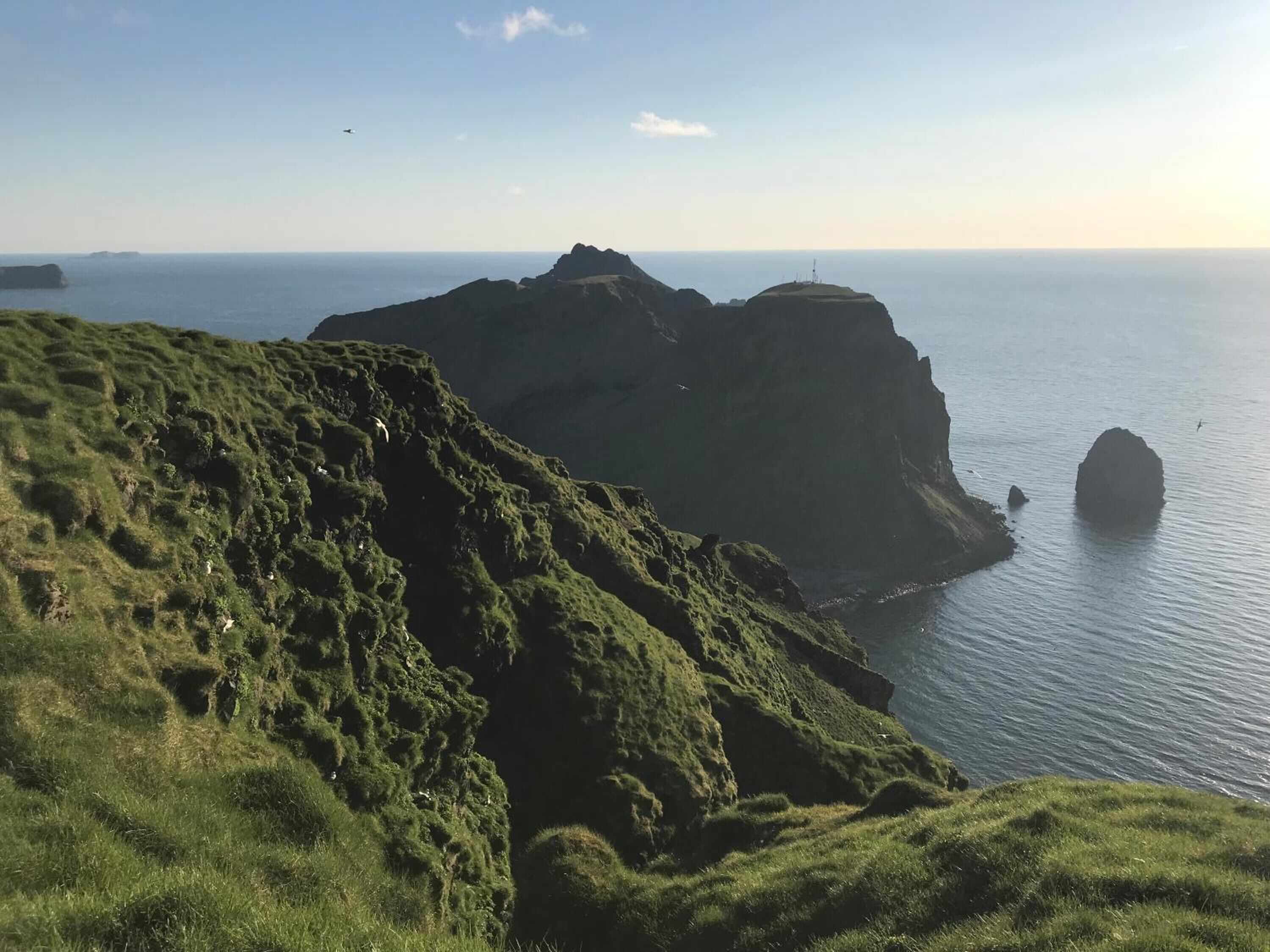 A coastal landscape with grassy cliffs and a view of the sea.