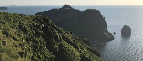 A coastal landscape with grassy cliffs and a view of the sea.
