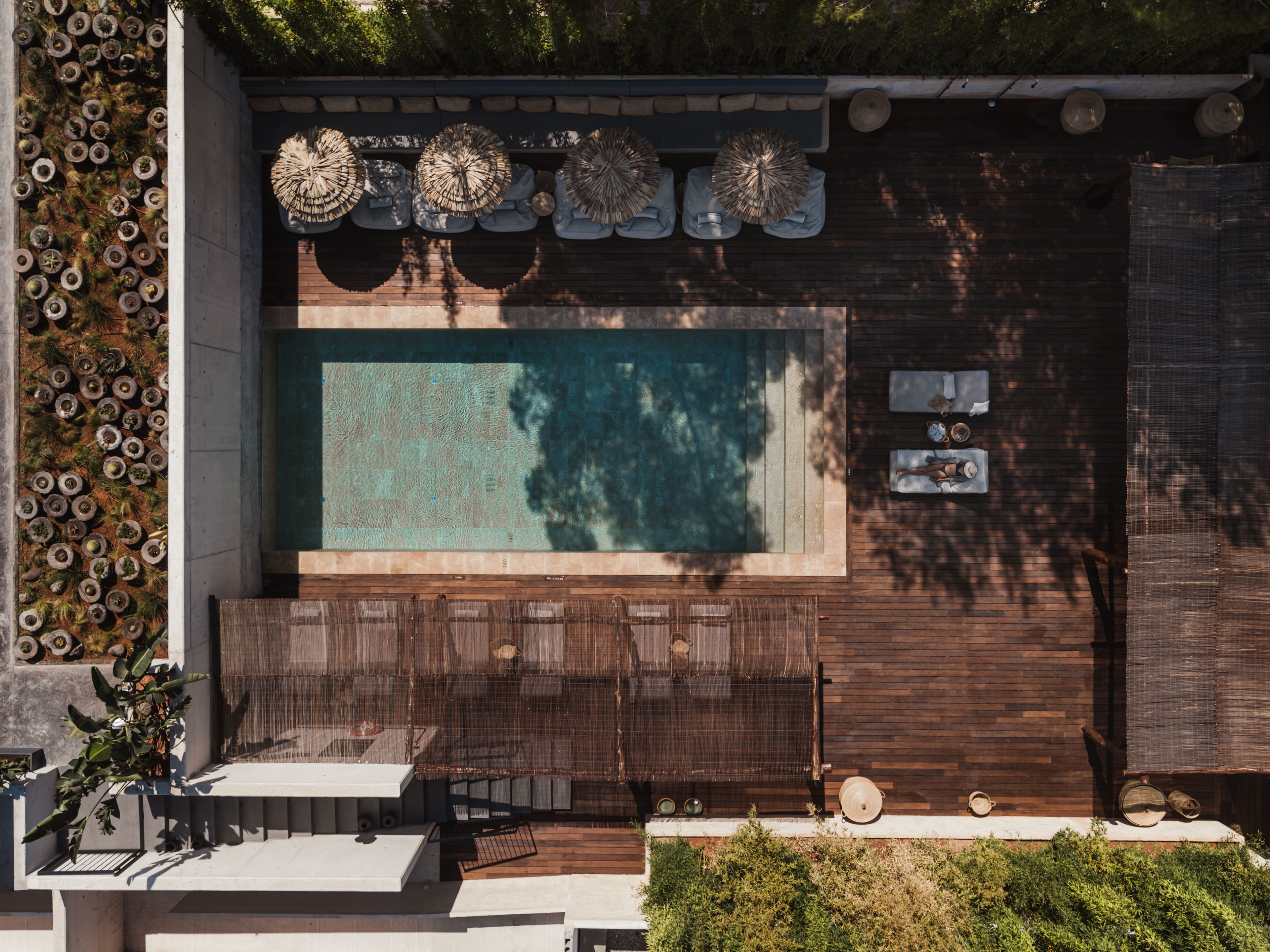Una piscina en la azotea con terraza de madera y zona de estar, rodeada de plantas en macetas y detalles decorativos.