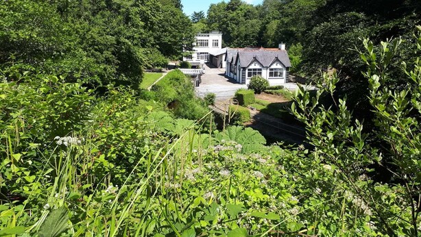 A house surrounded by lush greenery, with a well-maintained garden and a clear view of the property. - The Ritz House (Lisdoonvarna)