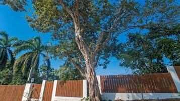 Un árbol grande frente a una valla blanca y marrón con base de piedra.