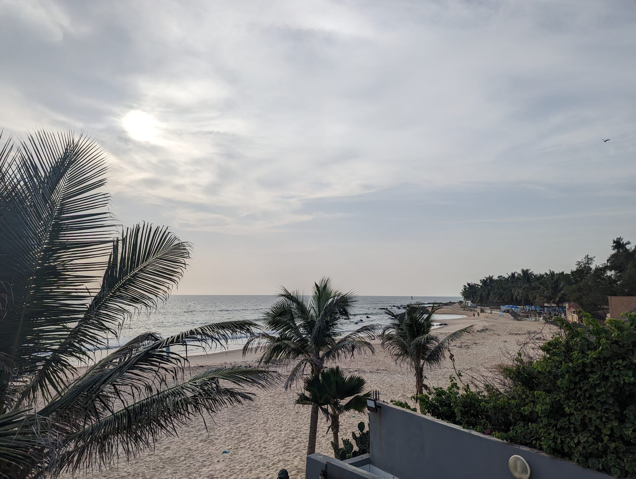 Vista de una playa con palmeras y cielo despejado.