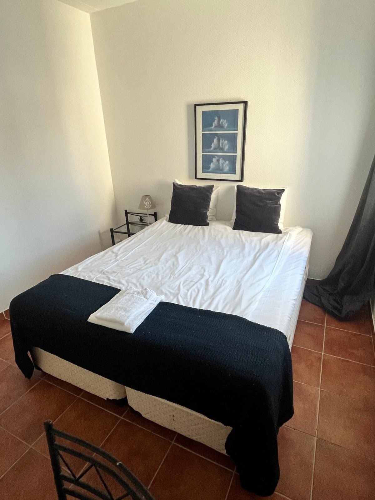 A single bed with a white duvet and two dark pillows, a small bedside table with a lamp, and a framed picture on the wall.