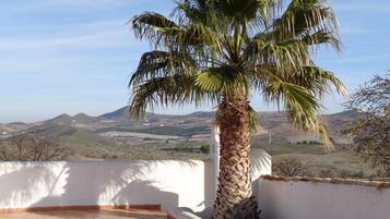 Teres/patio