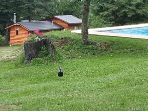 Property grounds - Cabaña Fau Wualmapu (Pucón)