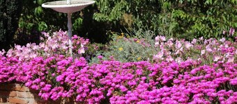 Cabañas Bosques del Rungue