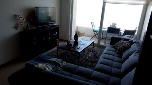 Habitación familiar | Sala de estar | Una televisión de pantalla plana, una chimenea