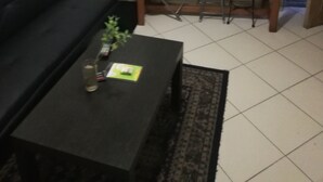 Olohuoneessa on musta sohva, puinen pöytä, jonka päällä on kasvi, ja pieni jakkara.
