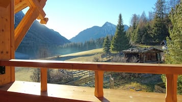 Apartment, 1 Bedroom (Edelweiss) | Terrace/patio