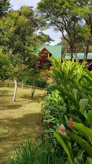 Garden - Casa Camila (Boquete)