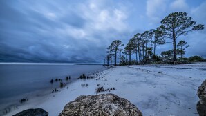 Une plage avec de gros rochers, une mer calme et des arbres en arrière-plan.