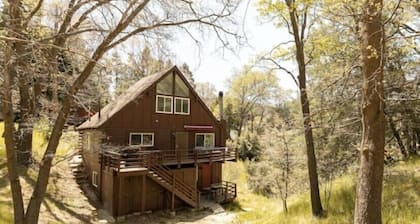 Cozy Treetop A-Frame, Fireplace, Arcade Games, Record Player
