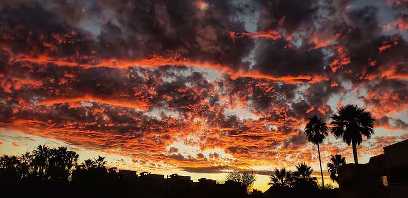 A sunset with a vibrant sky, silhouettes of palm trees, and a distant building.