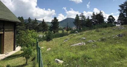 Hermosa casa de madera cerca del bosque de pinos