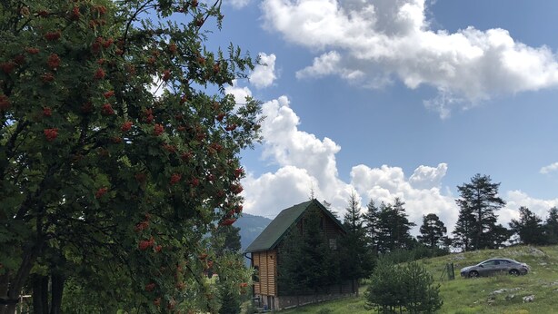 A rustic cabin with a green roof, surrounded by a wooden fence, set in a grassy area with trees and a car parked nearby. - Beautiful wooden house nearby pines forest (Žabljak)