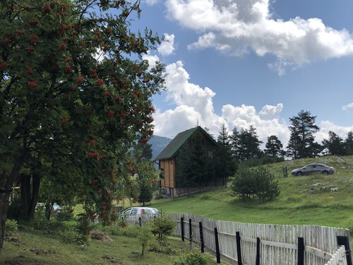 Beautiful wooden house nearby pines forest