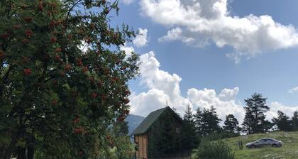 Beautiful wooden house nearby pines forest