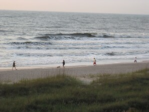 Una playa con gente caminando por la orilla y un perro.