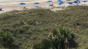 Una playa con sombrillas azules y sillas reclinables, una orilla arenosa y un primer plano con césped.