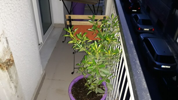 Parvekkeella on ruukkuistutettu kasvi, pieni pöytä, jonka päällä palaa kynttilä, ja parkissa olevia autoja.