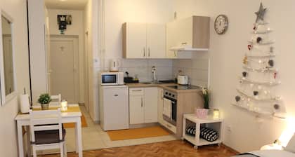 Studio Start - viihtyisä huoneisto sopii kaikkeen