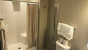 Ein Badezimmer mit Dusche, Toilette und Spiegel.