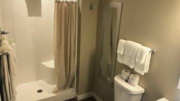 Une salle de bain avec une douche, des toilettes et un miroir.