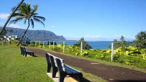 A pathway with benches, lush greenery, and a view of the ocean and mountains.