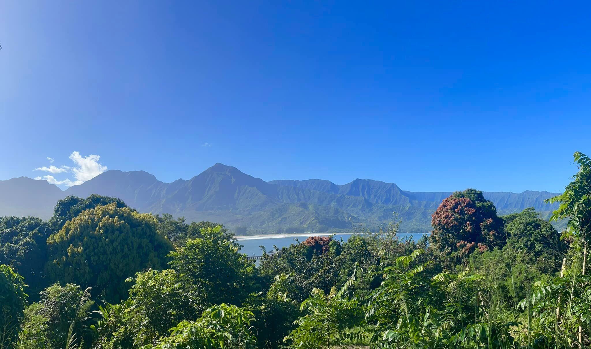 Un paysage montagneux, caractérisé par une végétation luxuriante et un ciel bleu dégagé.