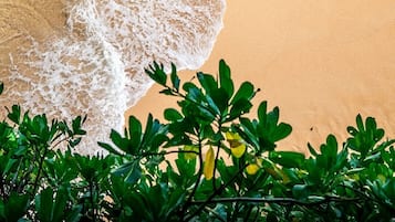 Sun loungers, beach towels