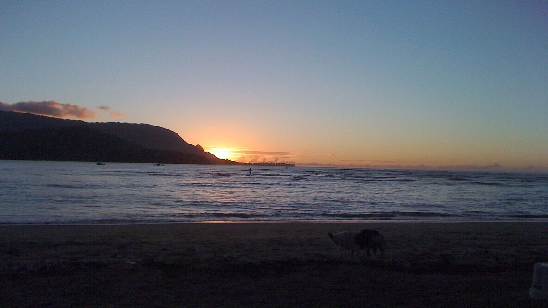 Una playa al atardecer con un perro en la arena.