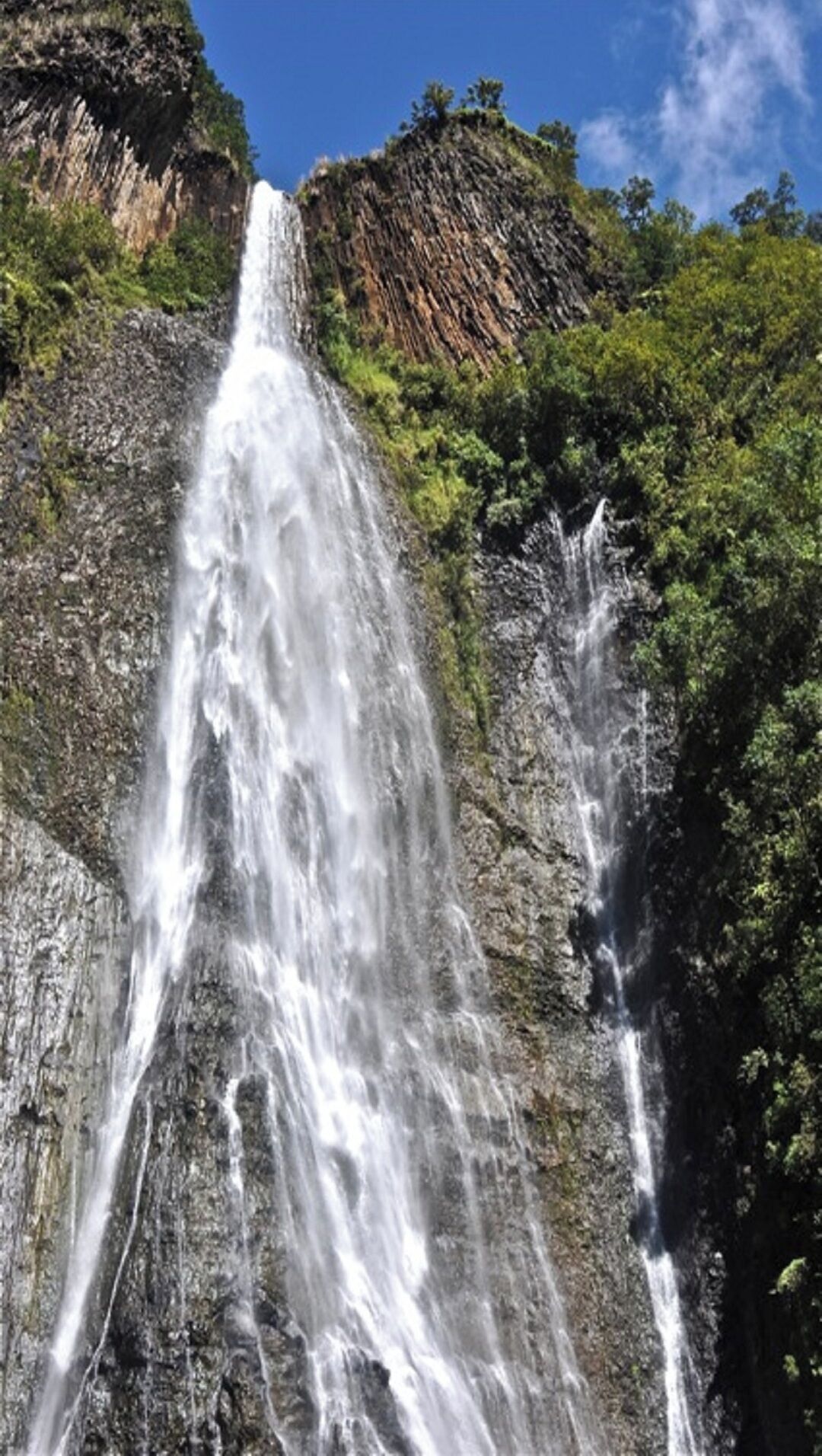 Una cascada que se precipita por un acantilado rocoso rodeado de exuberante vegetación.